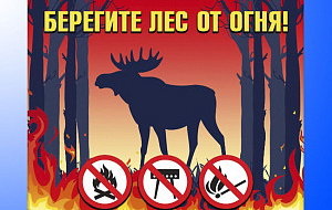 Начало пожароопасного сезона на территории НП Мещера Начало пожароопасного сезона на территории НП Мещера