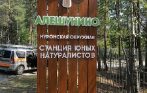Таинственный мир водоема Таинственный мир водоема
