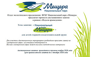Дистанционное занятие Дистанционное занятие