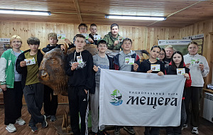 В гости к лесному великану В гости к лесному великану