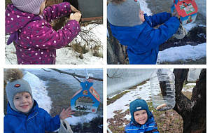 Итоги акции «Помоги птицам!» - 2026 Итоги акции «Помоги птицам!» - 2026